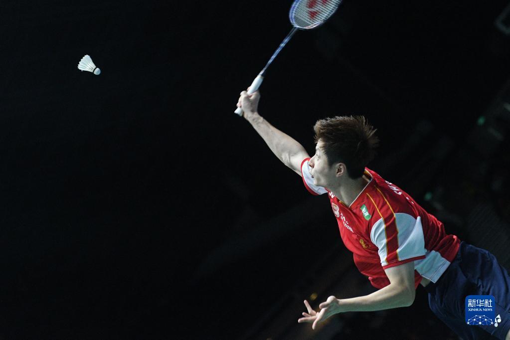 他们的表现 他们的表现