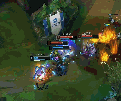 的红利期 的红利期